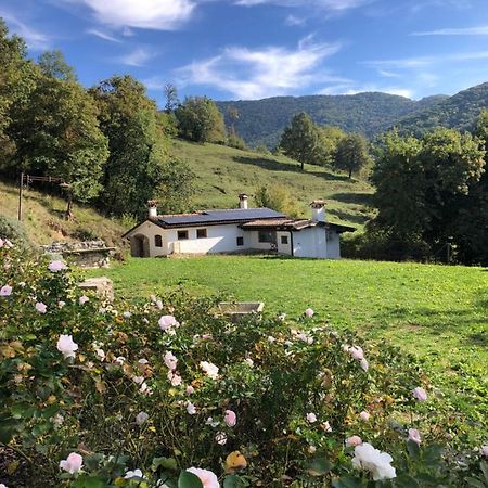 La Casita Eco Country House Bed & Breakfast Faedis ภายนอก รูปภาพ
