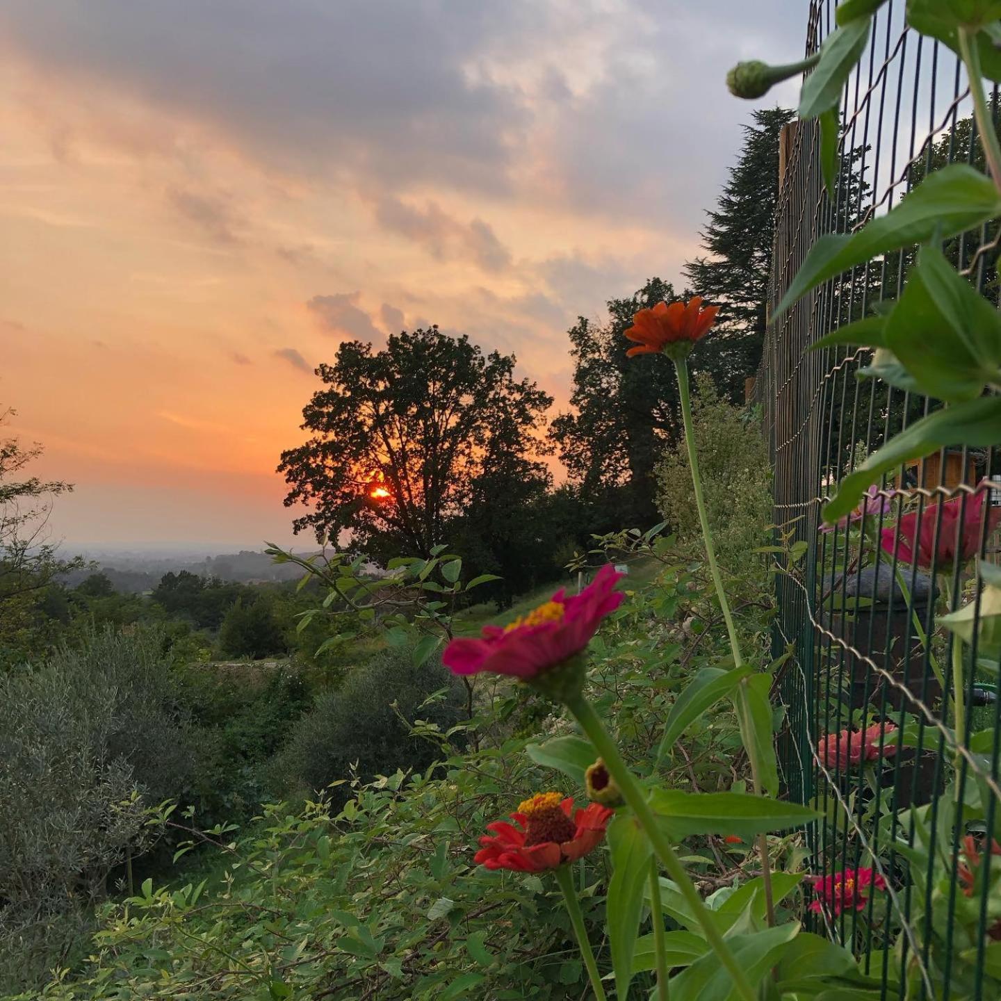 La Casita Eco Country House Bed & Breakfast Faedis ภายนอก รูปภาพ